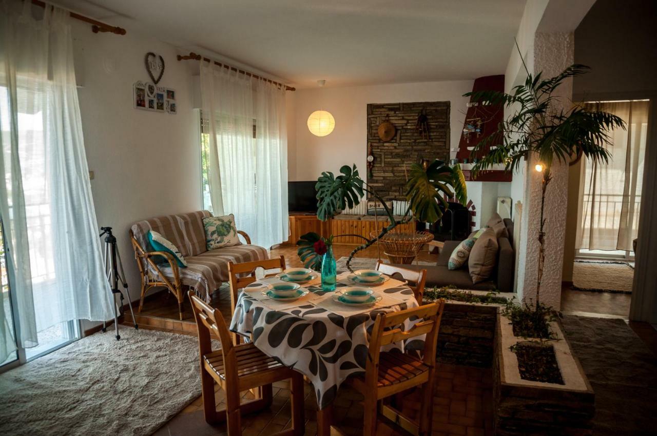 Paradise View Apartment PalaiónTsiflíkion Extérieur photo